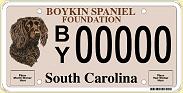 BSF License Plate