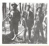Hunting Dogs