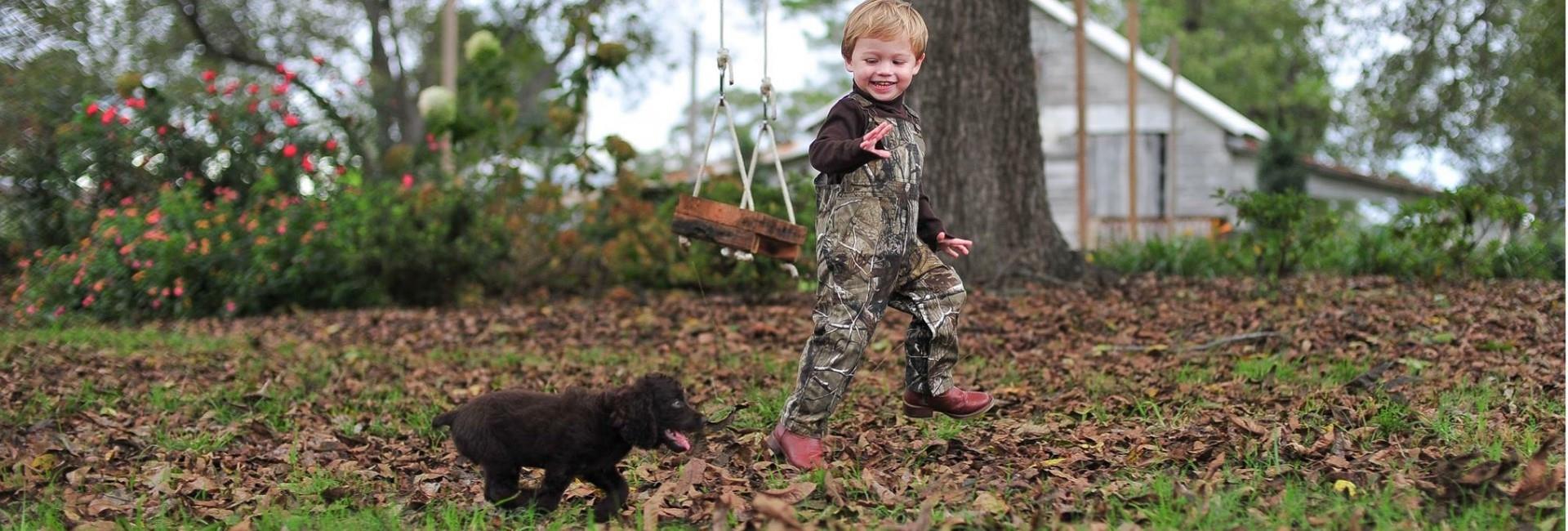 Boykin Spaniel Society